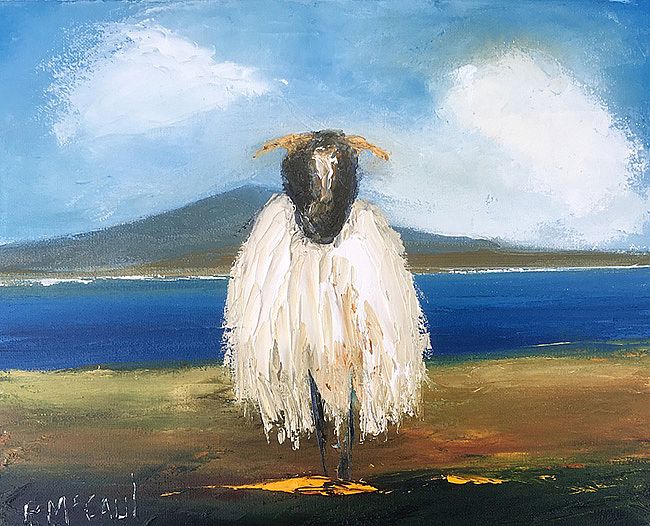 Achill Sheep by Padraig McCaul